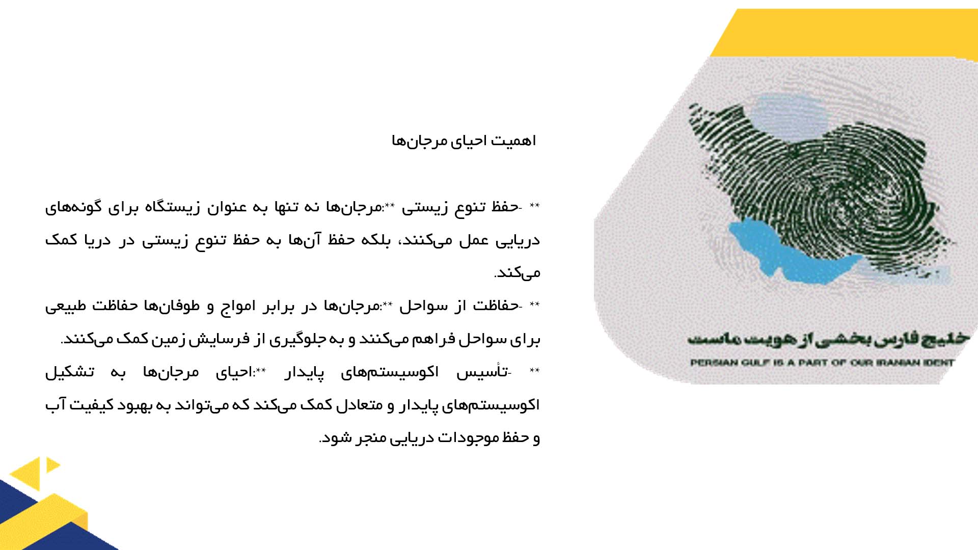 پاورپوینت در مورد پروژه‌های احیای مرجان‌ها در خلیج فارس